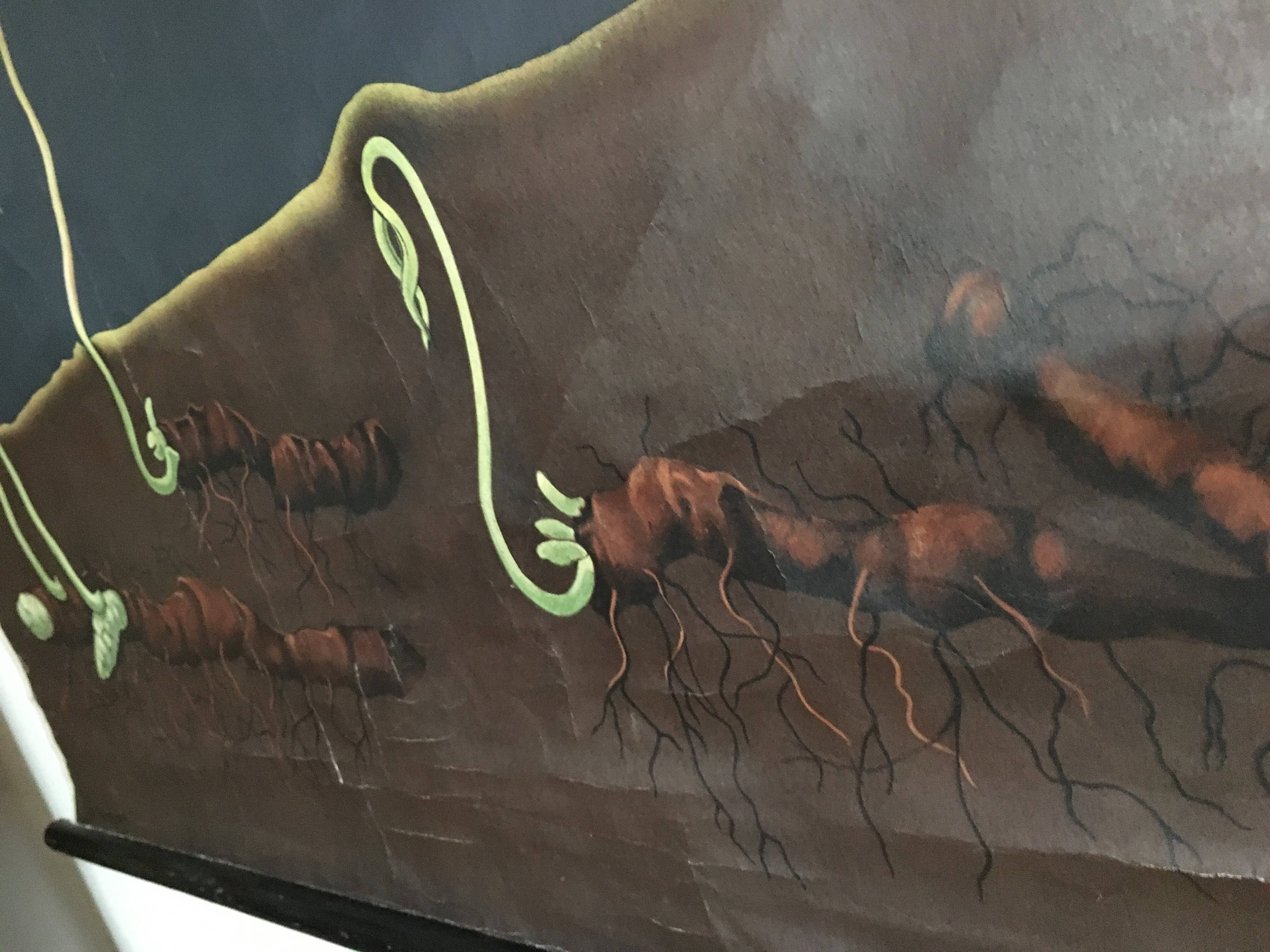 Displays educational anemone Nemorosa 1950