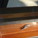 Elm magnifying glass jewelry box
