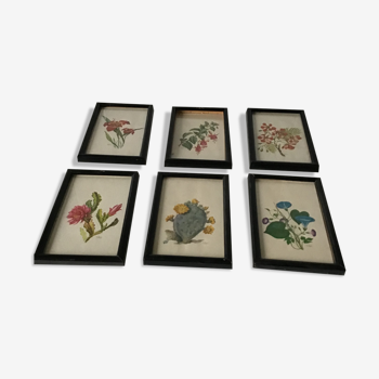 Série de petits cadres en bois avec des gravures anciennes signées de fleurs champetres