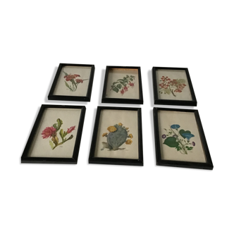 Series of small wooden frames with antique engravings signed with country flowers