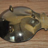 Empty-pocket scallop shell