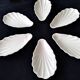 6 Pillivuyt white porcelain avocado bowls