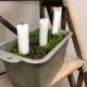 Planter