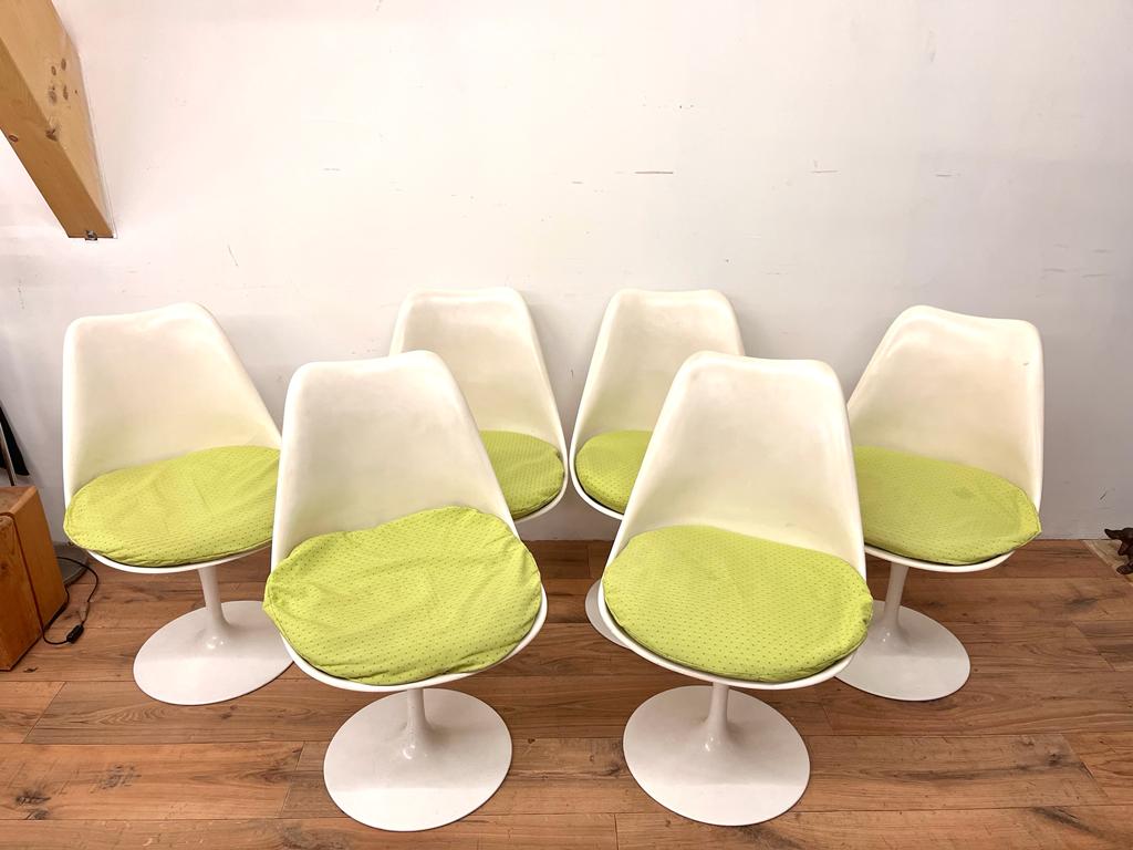 Six chaises tulip Knoll