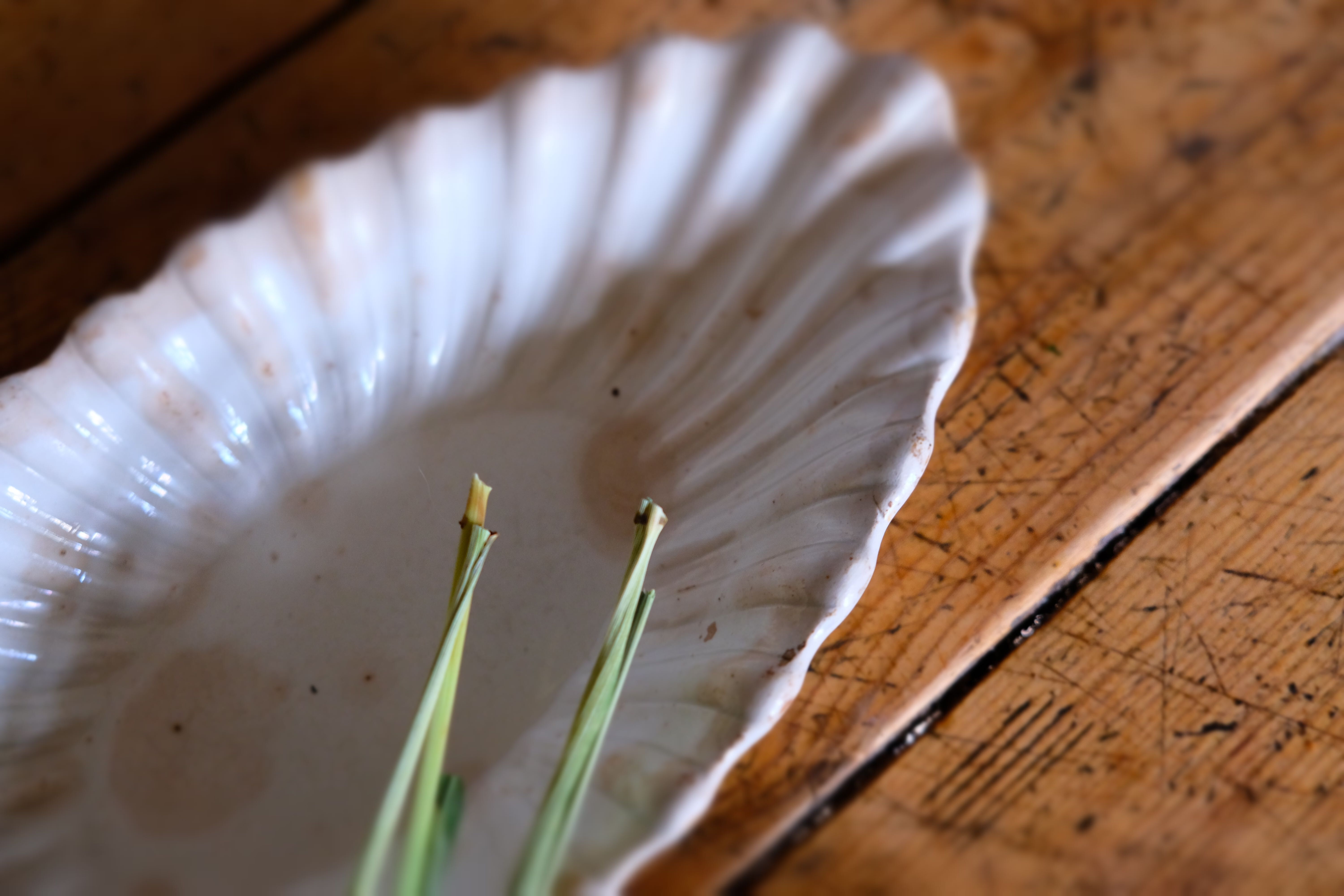 Ravier Faïence Arboras Rhône/Grigny 1830