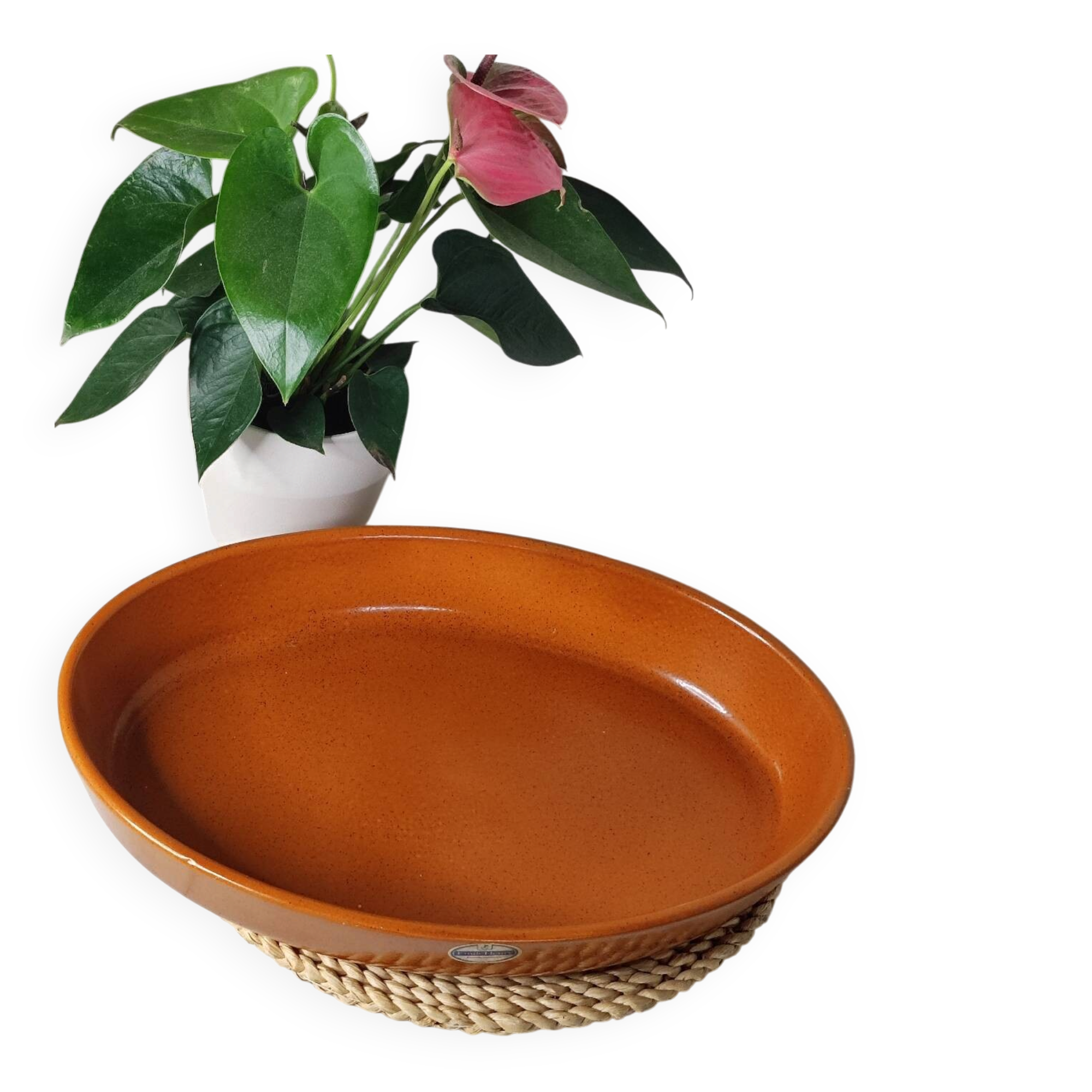 Oval terracotta dish