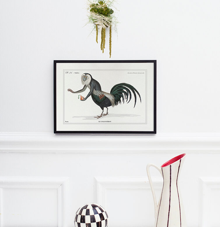 Chimera lithograph animal engraving - the coquandérou