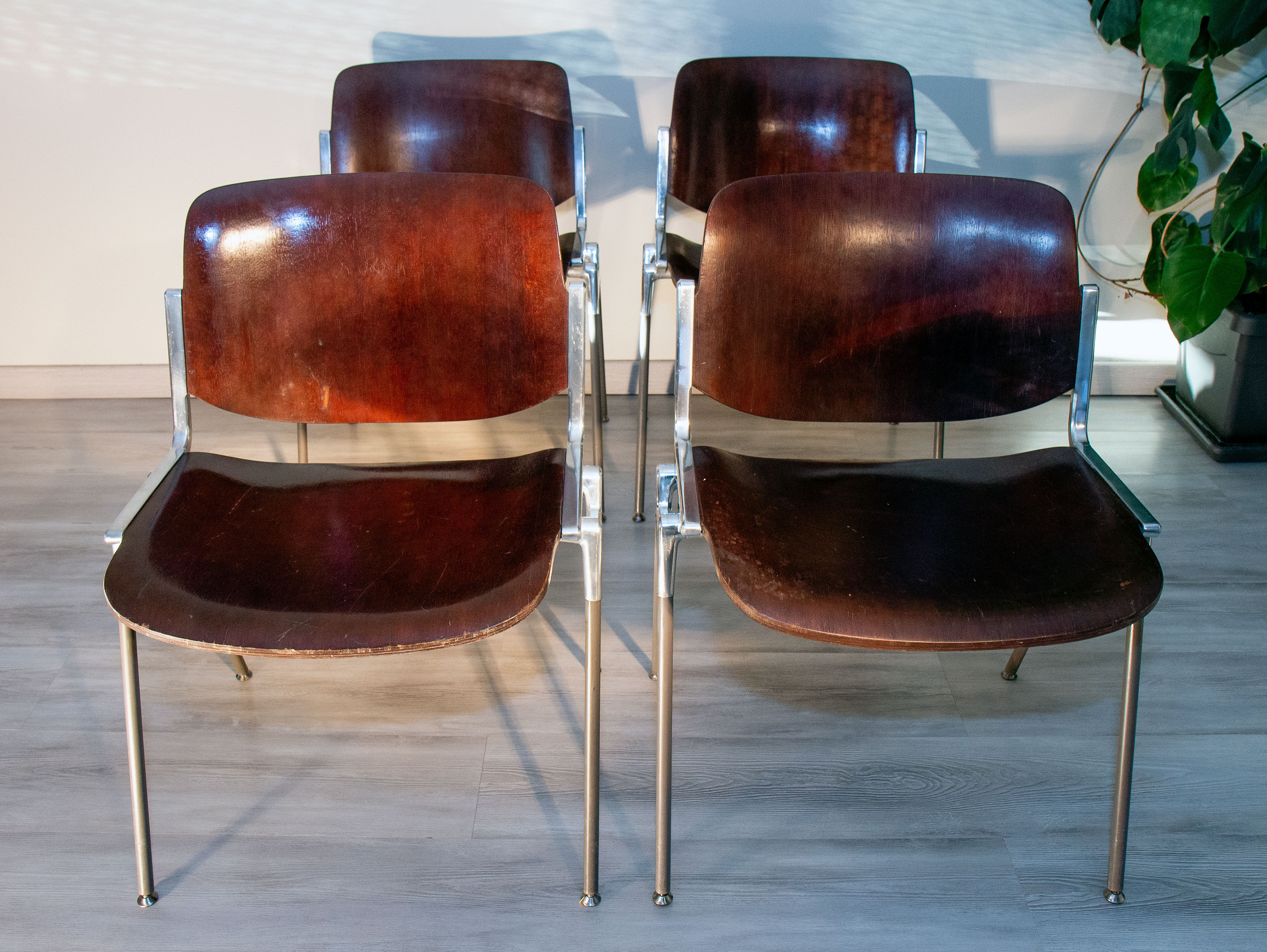 Suite de 4 chaise DSC 106 de Giancarlo Piretti pour Castelli, 1965