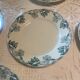 Set of 14 vintage Lunéville porcelain plates