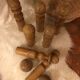 Wooden squids