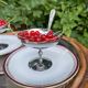 Vintage Stainless Steel Ice Cream Cups, Spoons and Trays