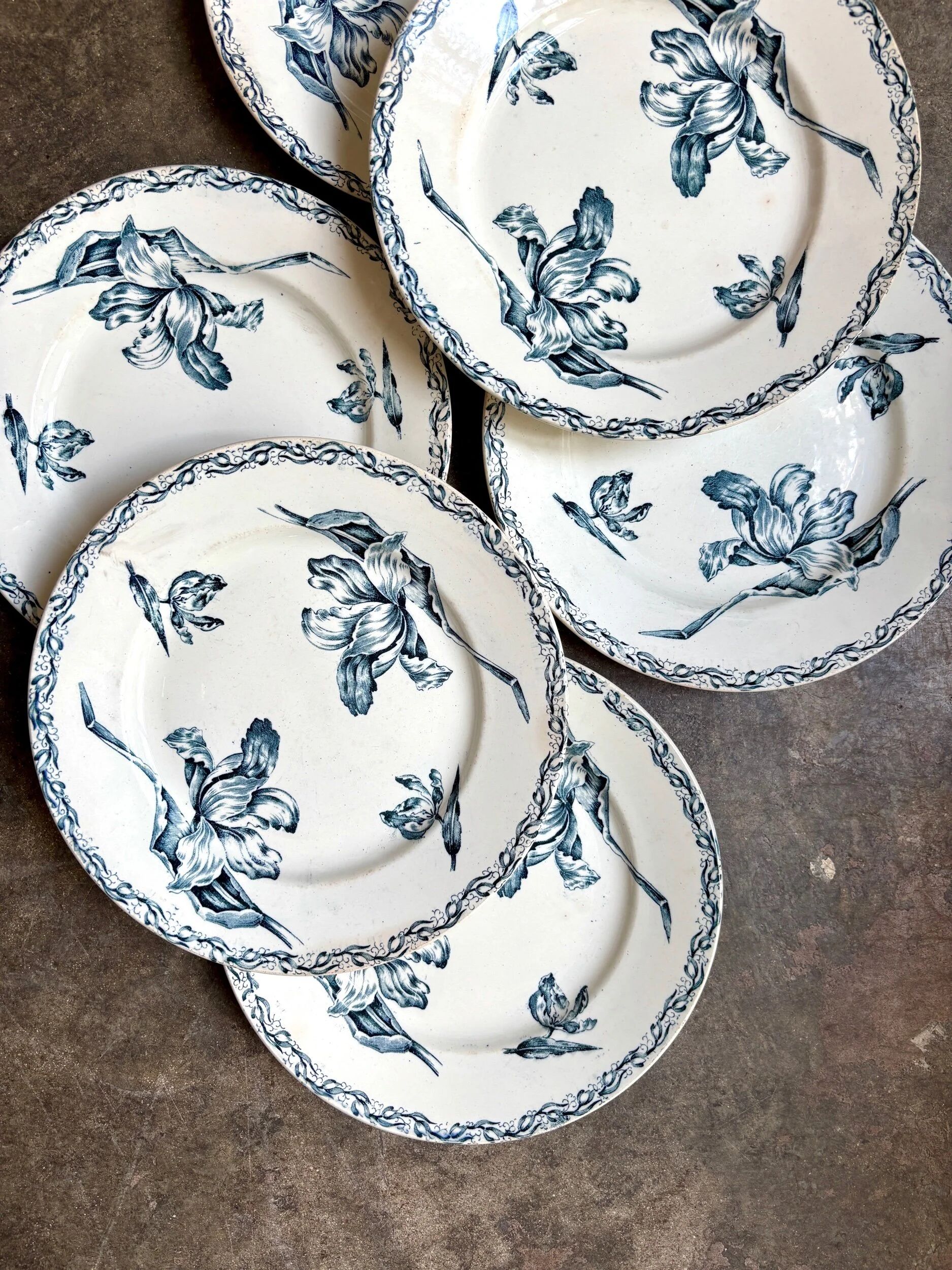 6 flat plates Lunéville in blue ironstone, "Tulip" service