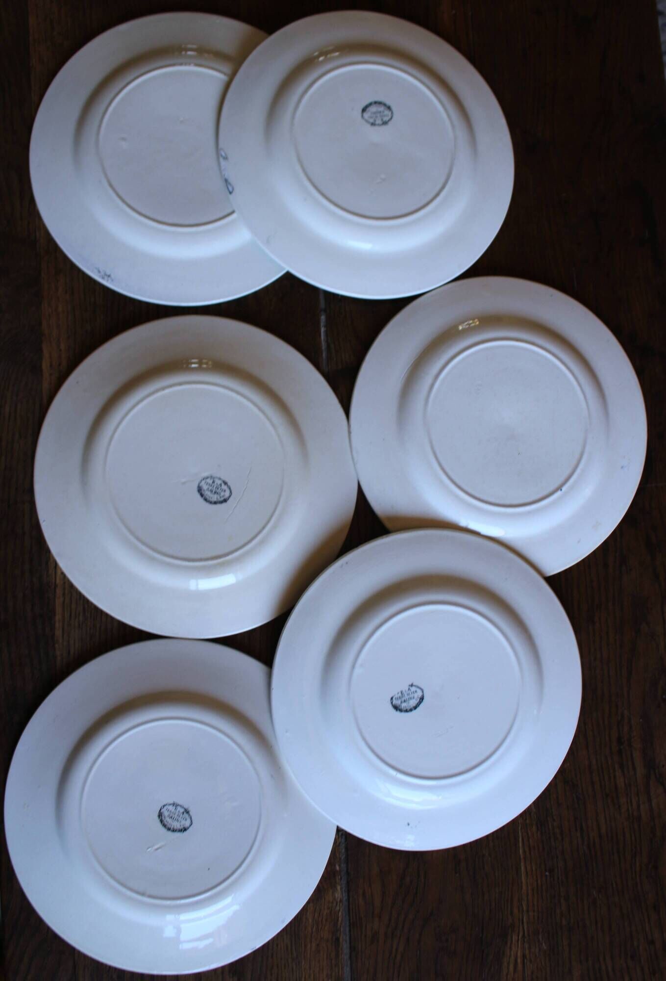 A set of 6 flat plates Terre de Fer Guirlandes Louis XVI Salins