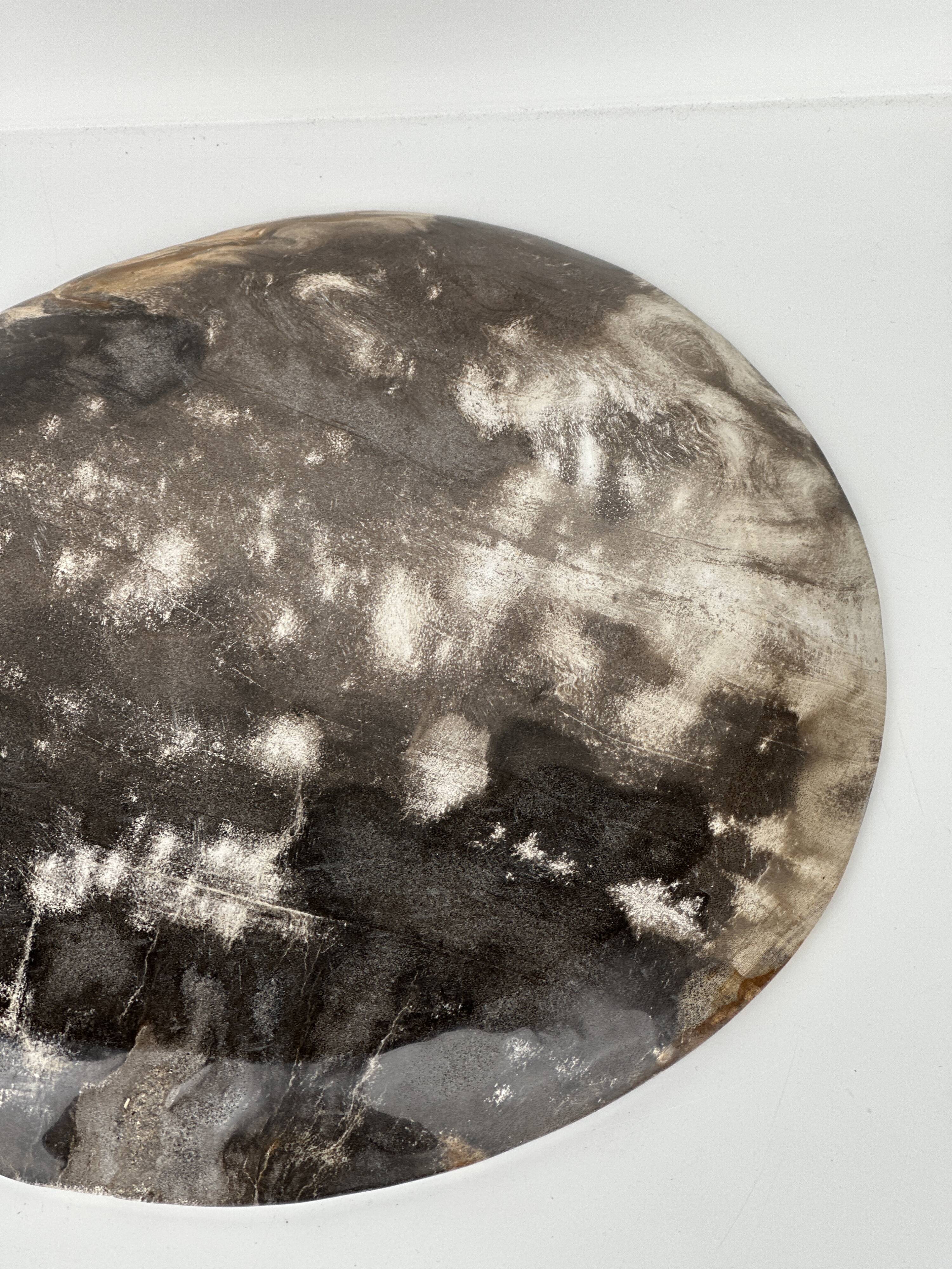 Dish in petrified wood