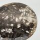 Dish in petrified wood
