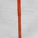 Baumann parrot coat rack