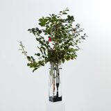 Large Art Deco vase in black frosted glass signed Anatole Riecke 1932