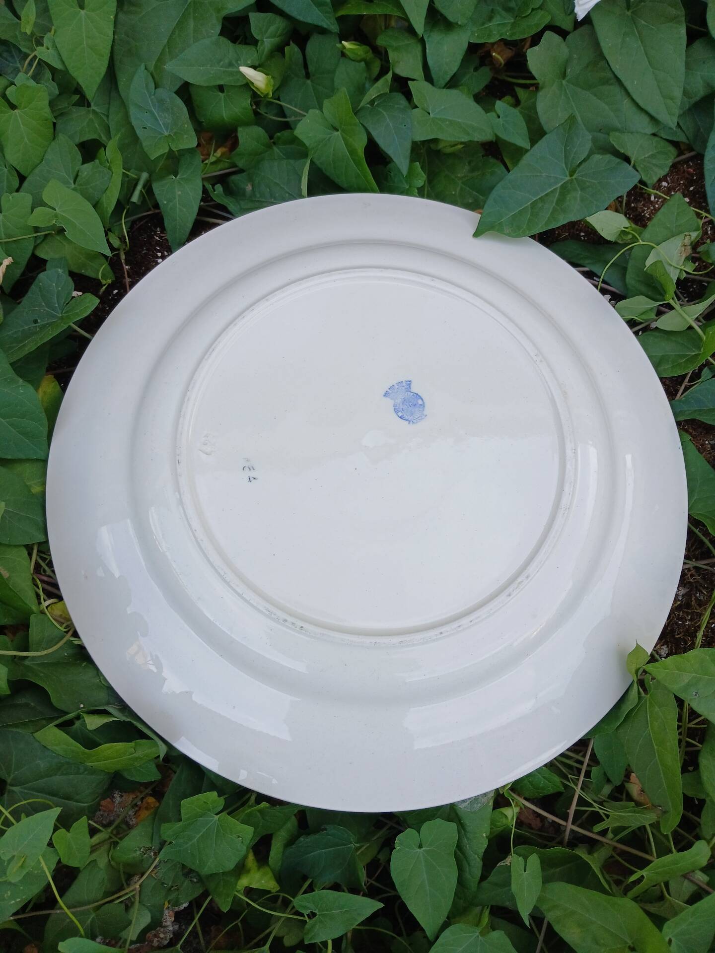 Large round antique Badonviller plate