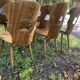 9 chaises Baumann