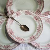 Set of 6 St Amand soup plates, Champagne model, iron earth