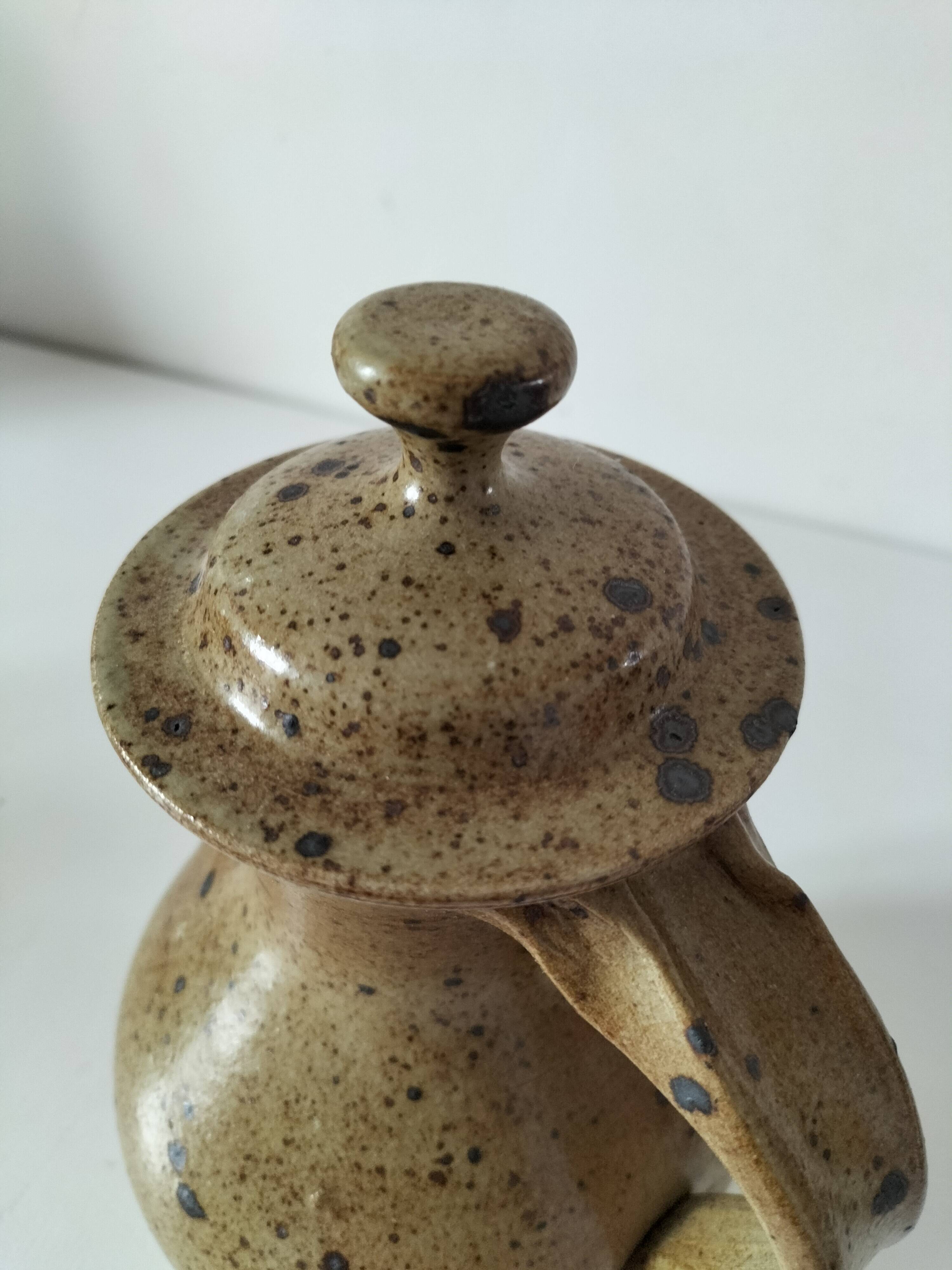 Pyrite stoneware ewer, potter's work, sculptural piece