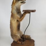Stuffed Taxidermy Fox Stuffed