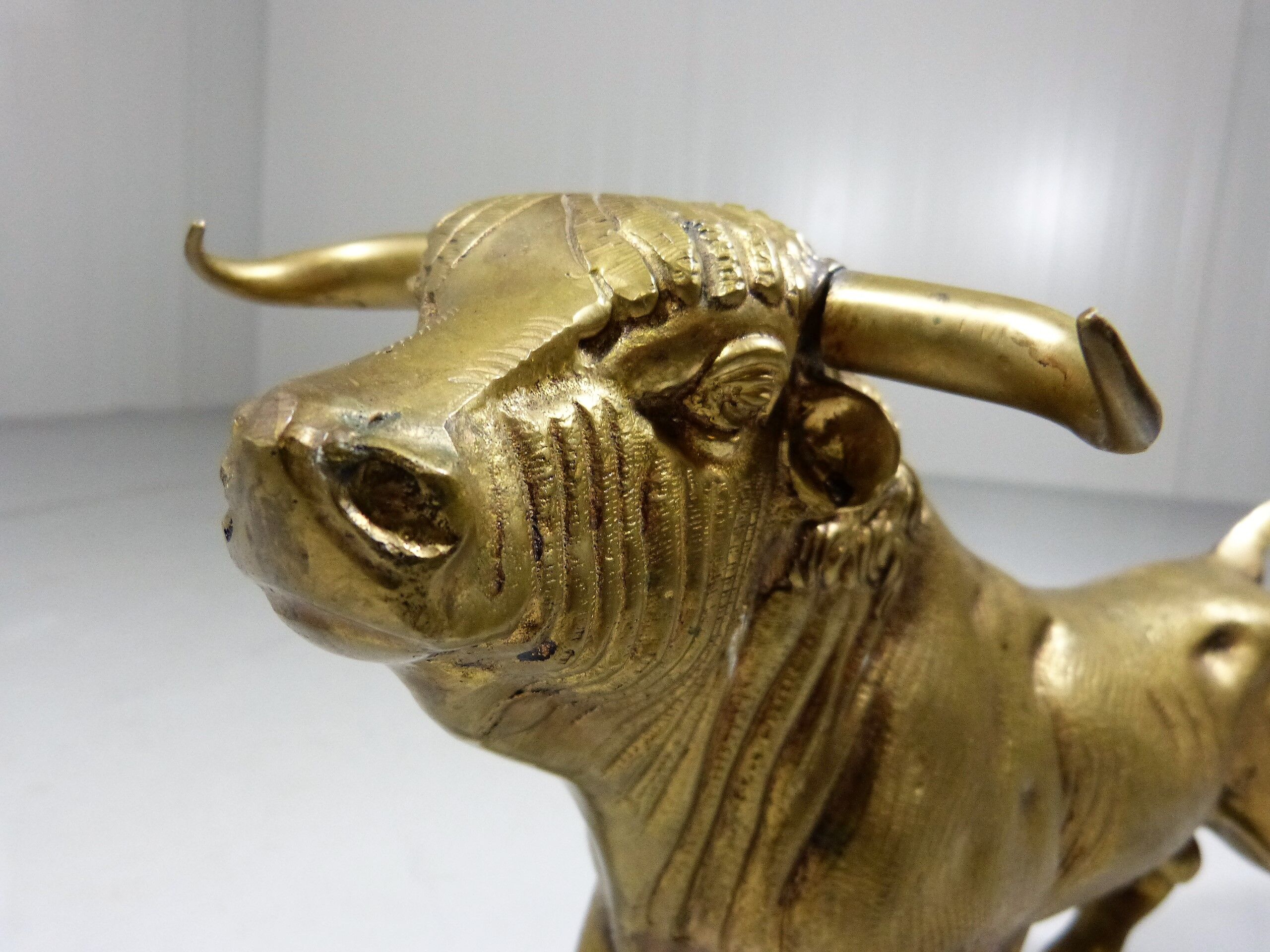 Brass Bull
