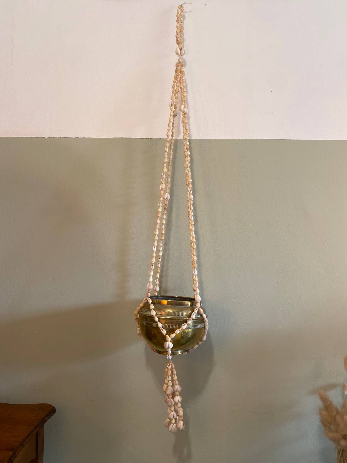 Shell plant holder