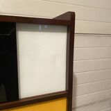 Vintage library/display cabinet