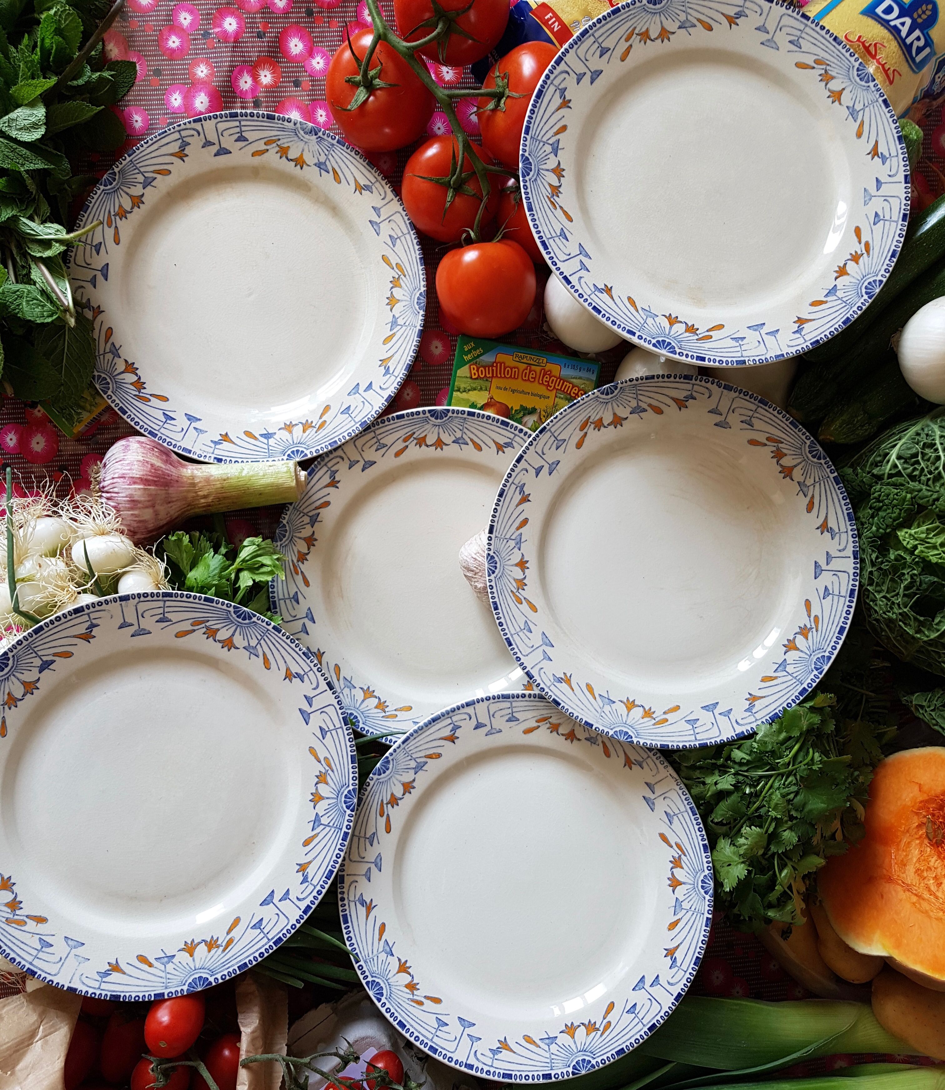 6 dinner plates old creil and montereau labrador service royan