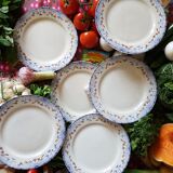 6 dinner plates old creil and montereau labrador service royan
