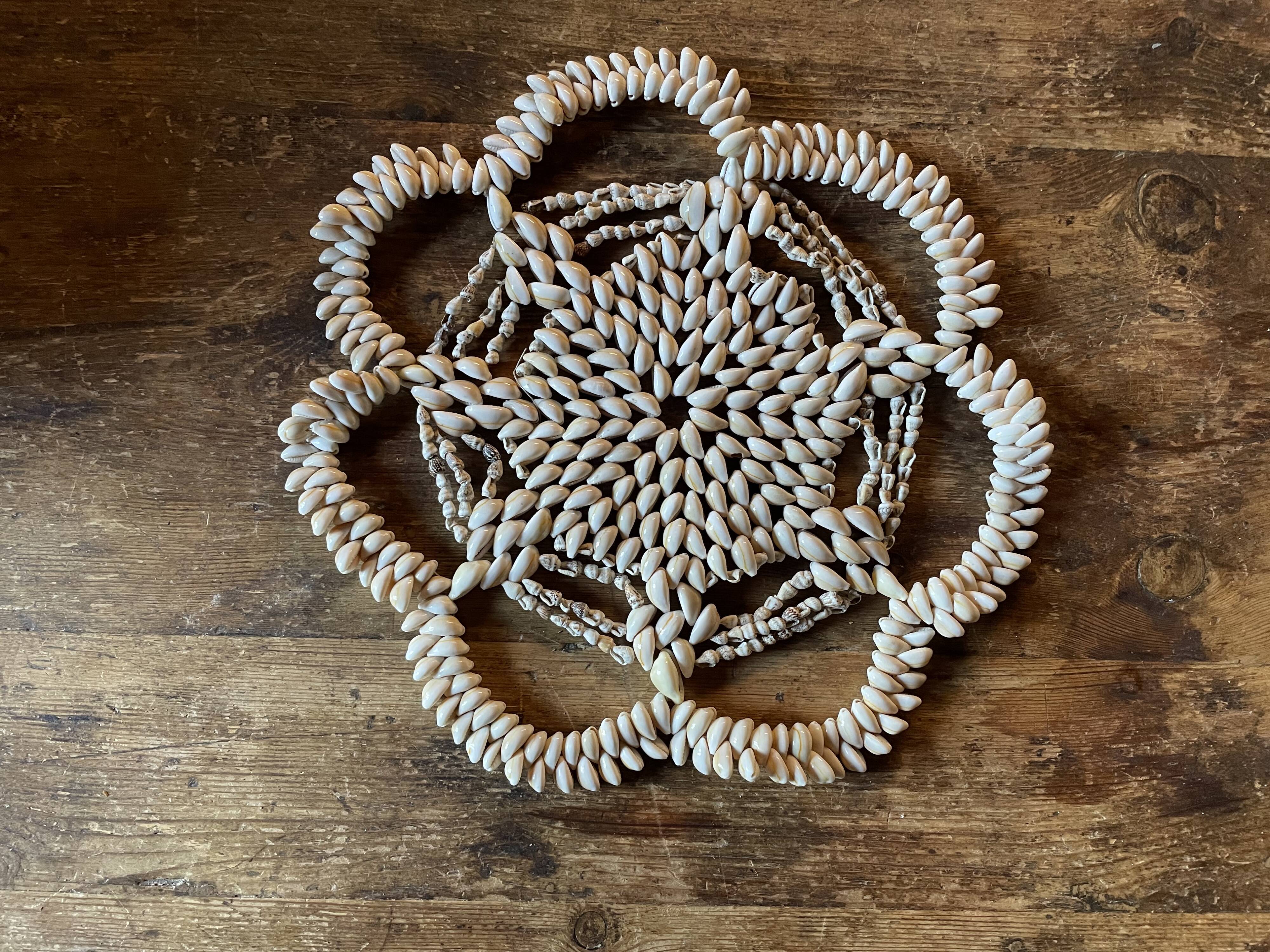 Vintage shell bottom