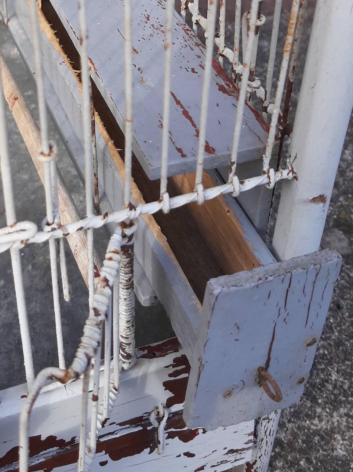 Birdcage "Fanton, Paris"