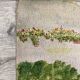Watercolor seaside landscape recto/verso