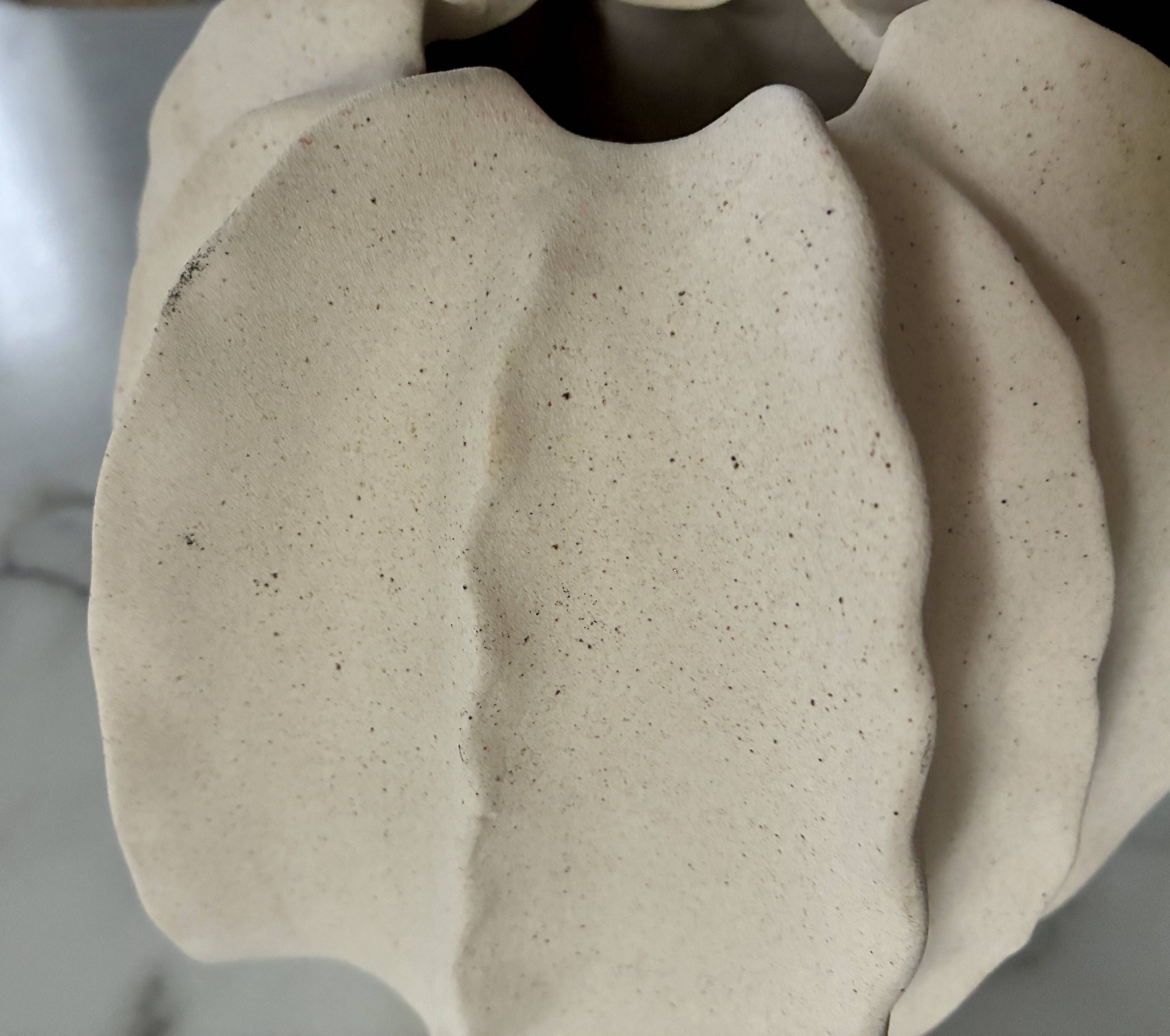 Vase in an organic shape