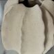 Vase in an organic shape