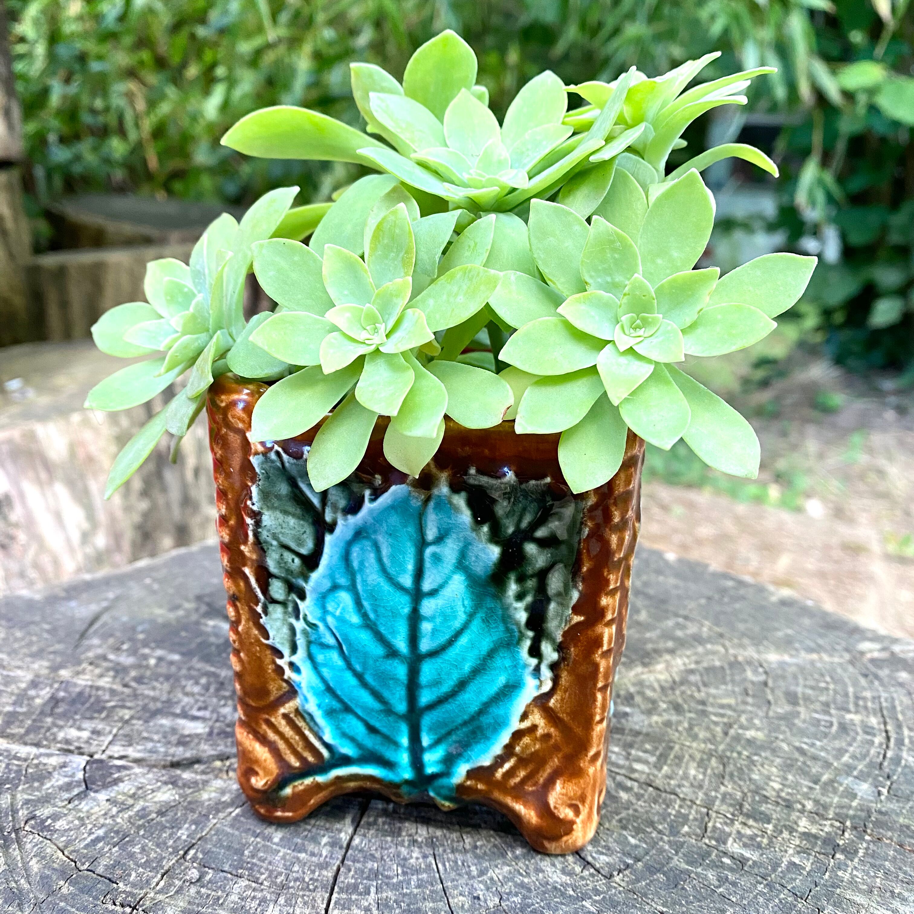 Ceramic pot cover