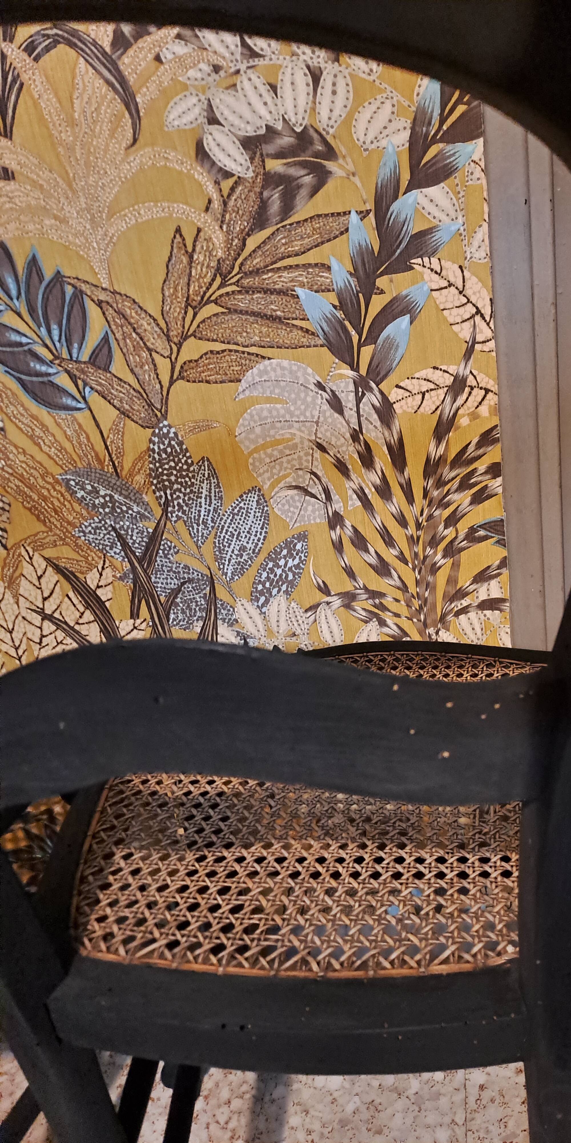 Pair of 2 chairs with cane seats in black wood, circa 1940