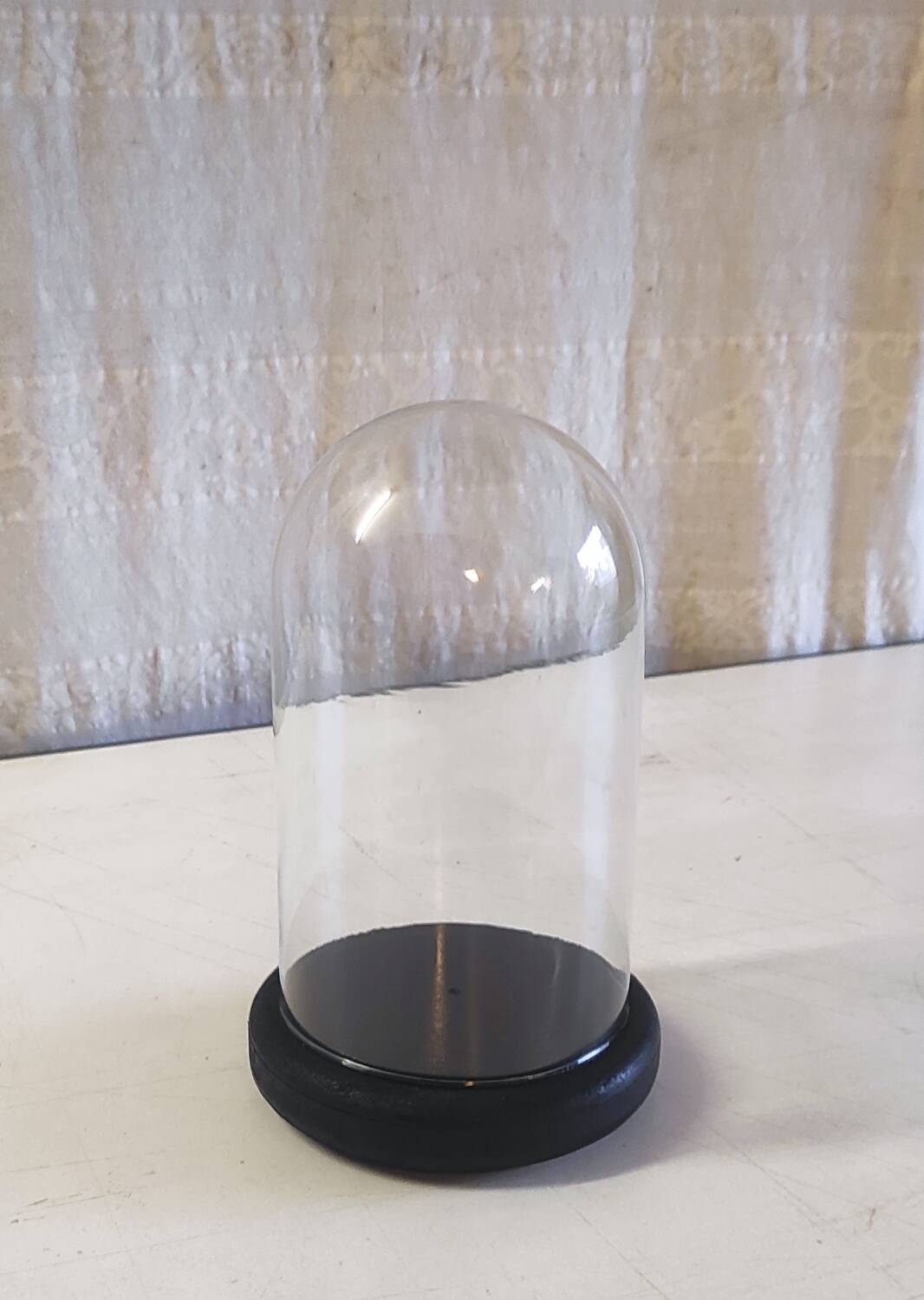 Glass globe and black wooden base - mid 20th century
