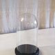 Glass globe and black wooden base - mid 20th century