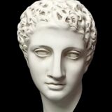 Antinous plaster head, British Museum