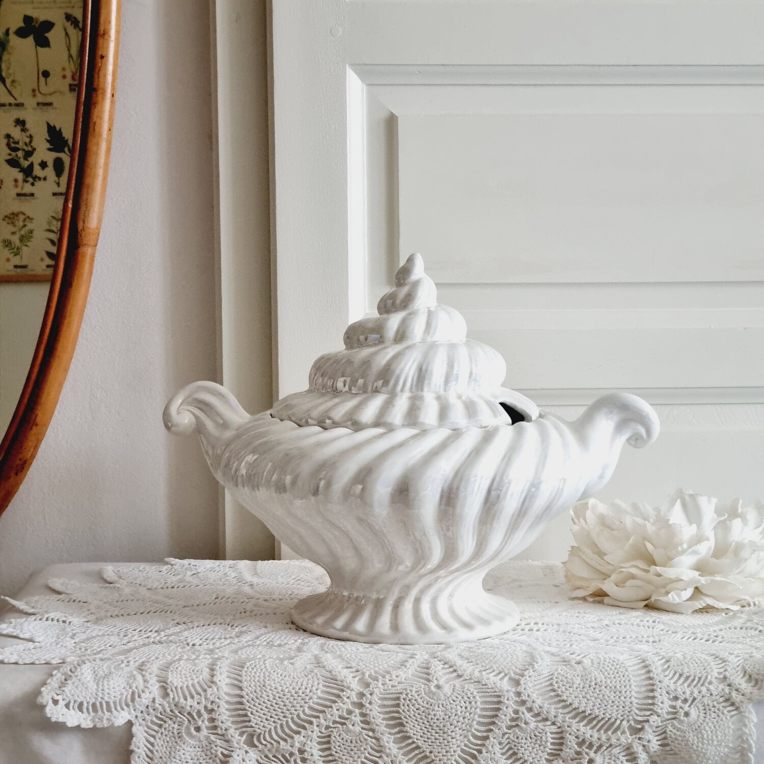 Shell tureen in slurry Portugal