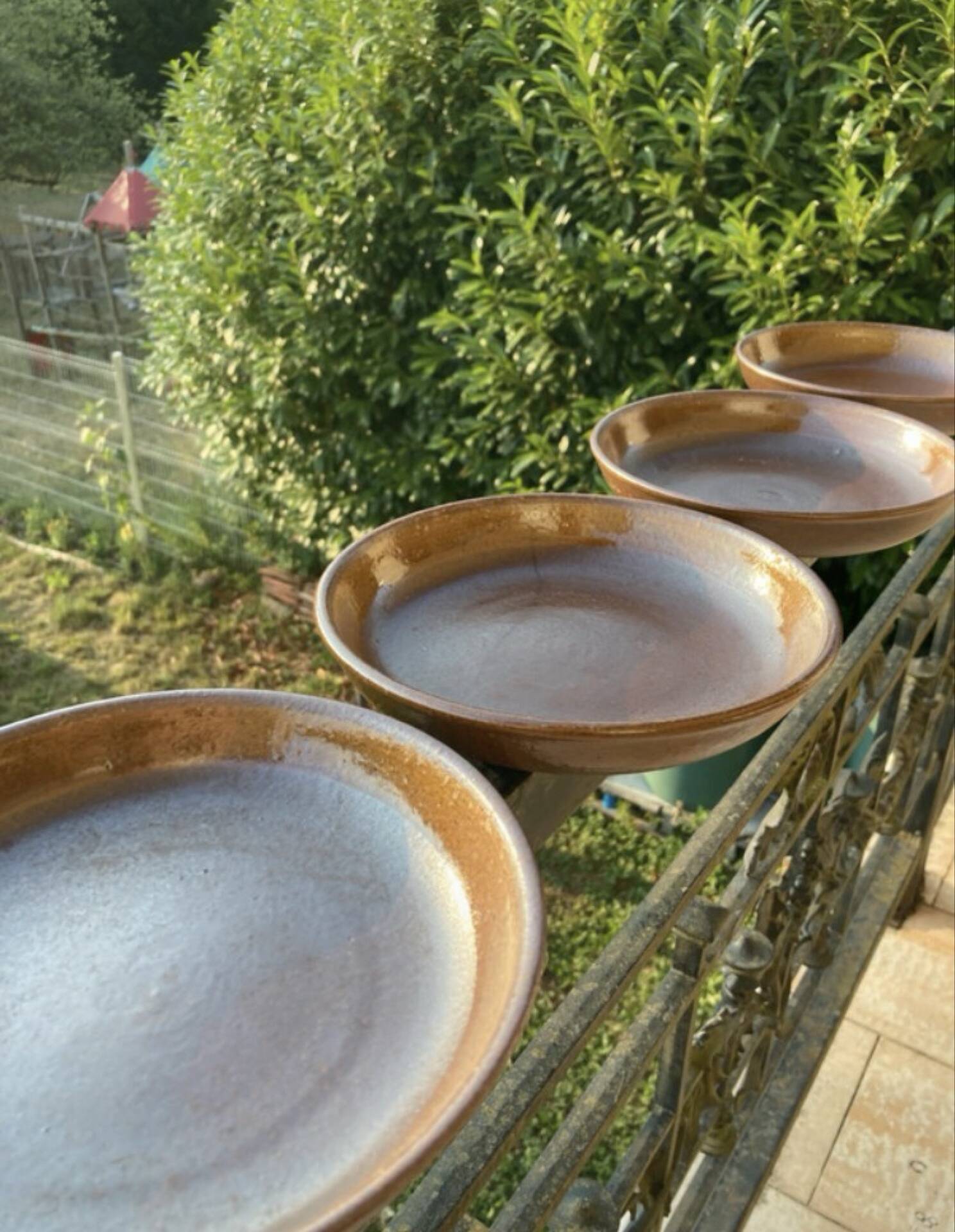 Deep plates made of organic, wild, earthy marsh clay.