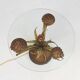 French Hollywood Regency Style Coffee Table with Lightning in Brass Flowers