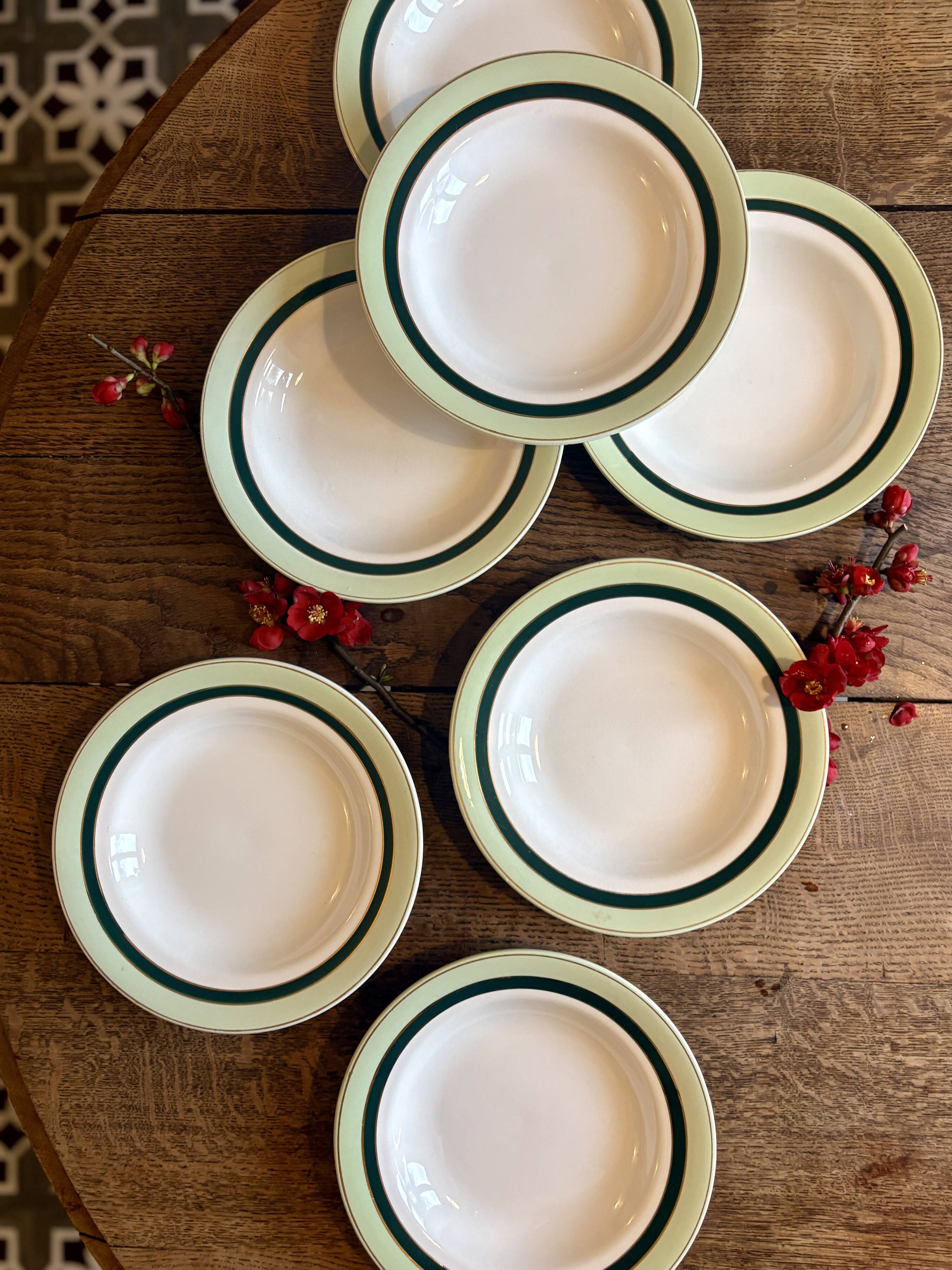 Set of 7 antique deep plates Salins - green Texas -