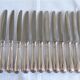 12 sfam dessert knives silver metal 21 cm