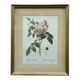 Floral illustration