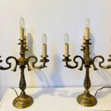 Large table lamps in solid bronze, decorated with acanthus leaves.