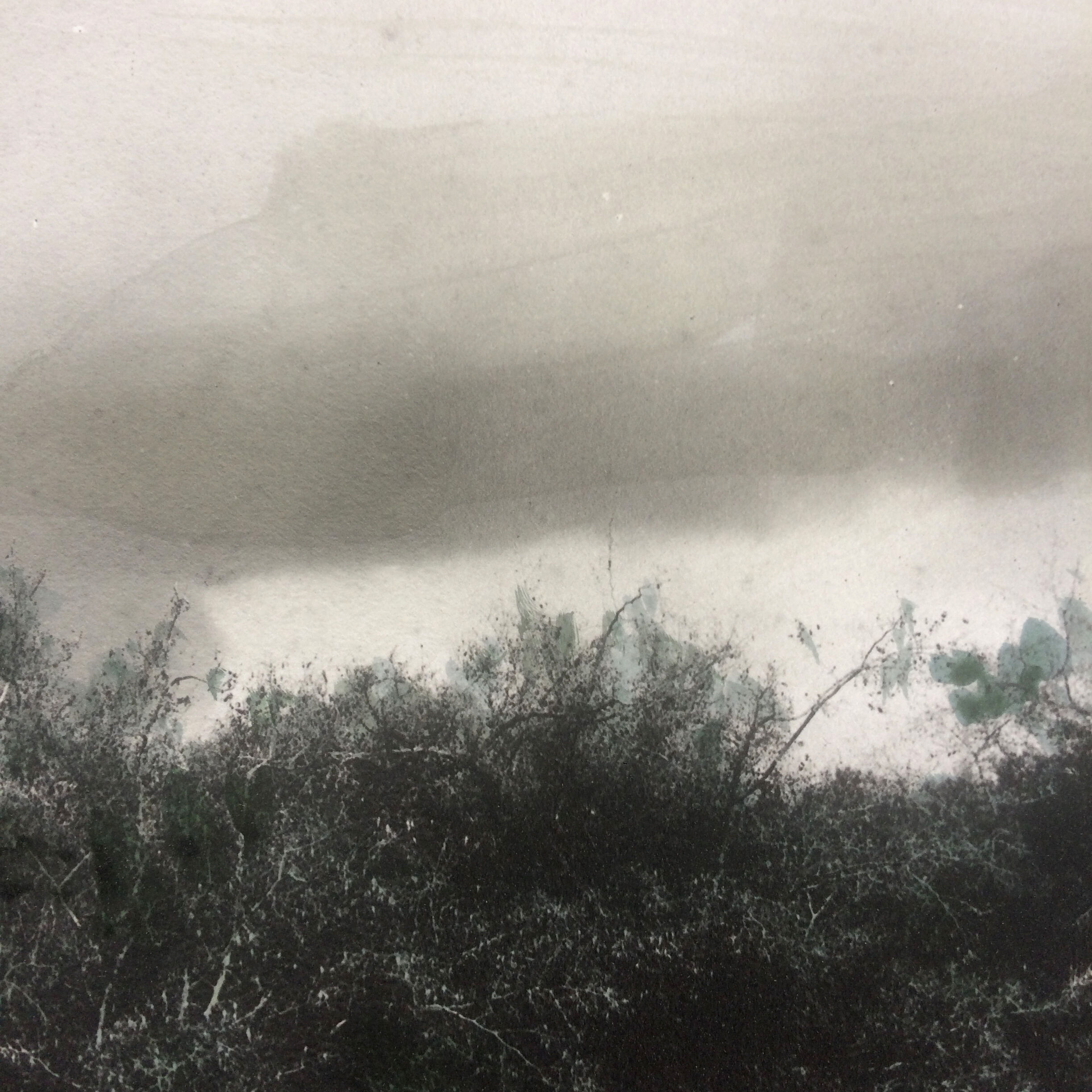 Photograph the Mare black and white print enhanced around 1900