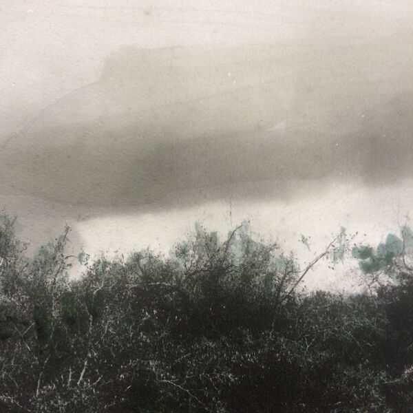 Photographie la Mare tirage noir et blanc rehaussé vers 1900